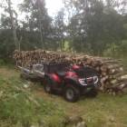 Woodland management services